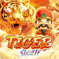 Hổ Slot4D game cover