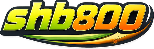 vnshb800.com Logo